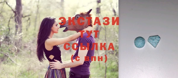 ECSTASY Алзамай