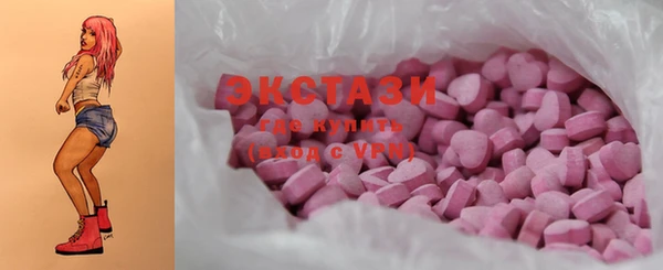 ECSTASY Алзамай