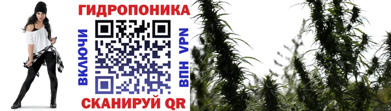 Бошки марихуана MAZAR  blacksprut онион  Туринск 